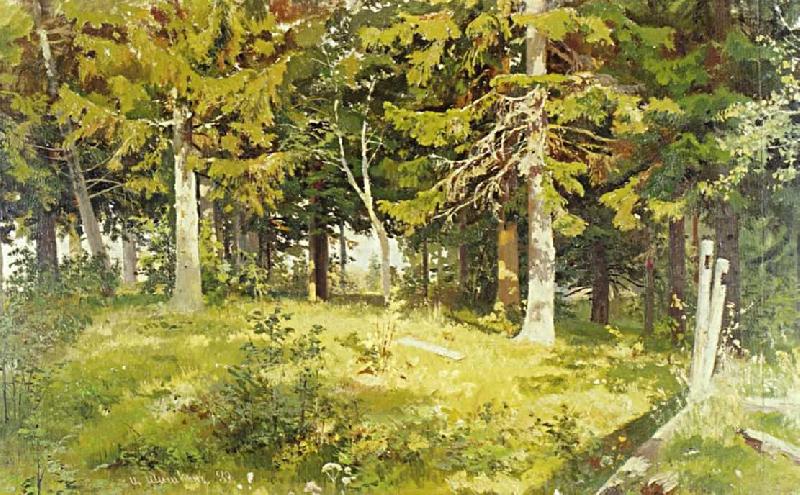 Ivan Shishkin Glade in a Forest Germany oil painting art